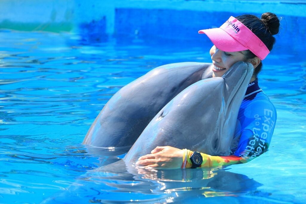 Nado con Delfines discover our love for